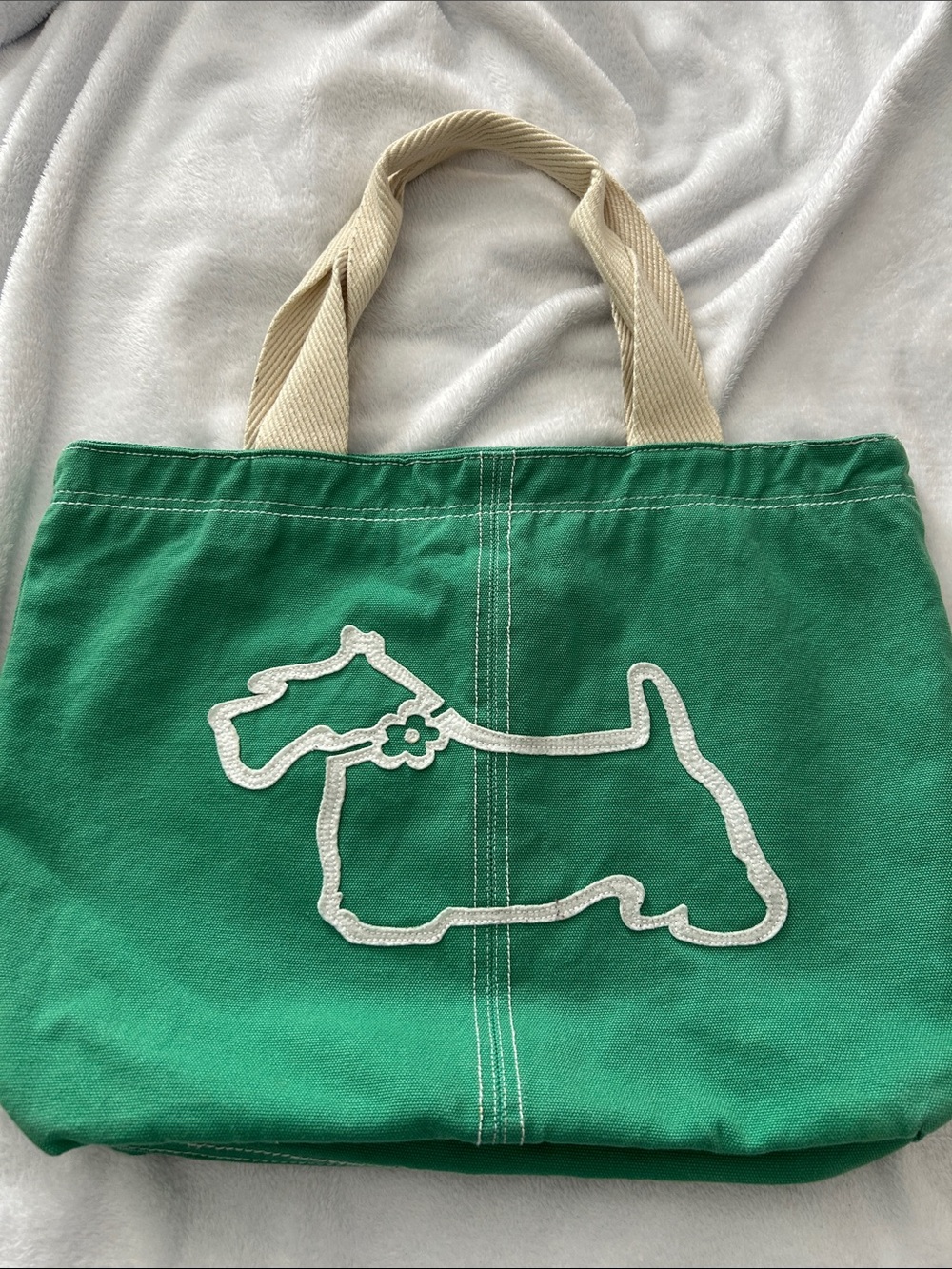 Green bag